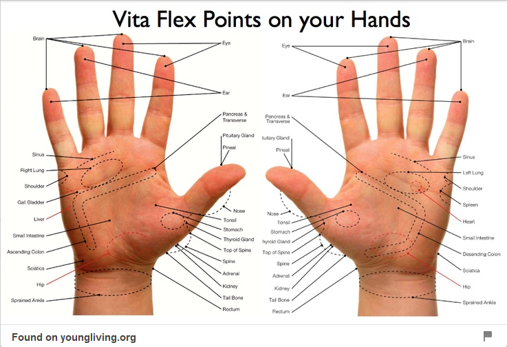 Young Living Vita Flex Chart
