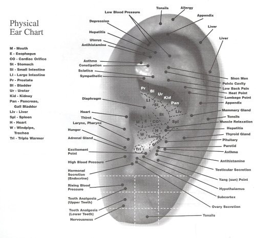 Vita Flex Chart For Essential Oils