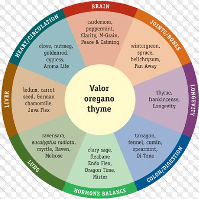 Vita Flex Chart For Essential Oils