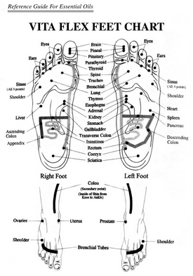 Vita Flex Chart For Essential Oils