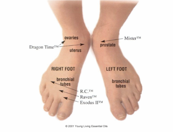 Foot Reflexology And Oil Usage Chart