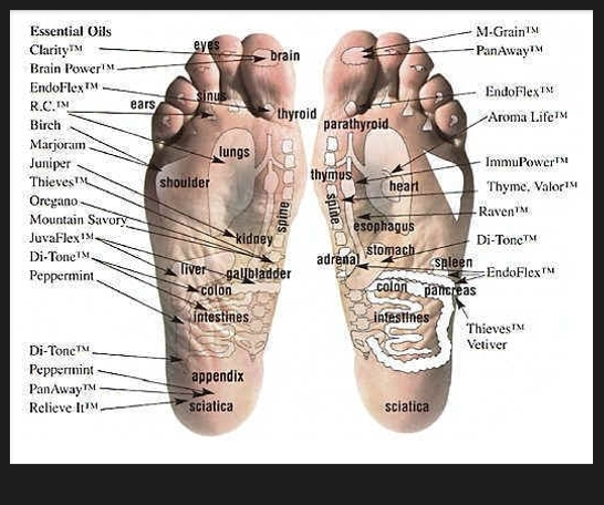 Foot Oil Chart