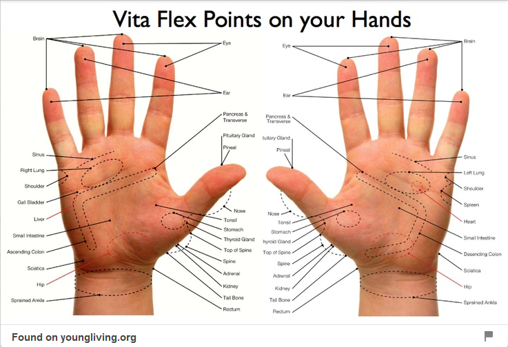 Reflex Therapy Hand Chart